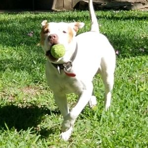 Meet your Posher, Luis